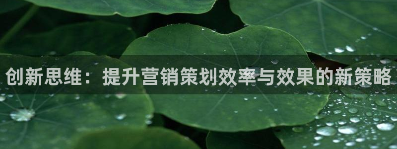 必赢国际网站合法吗