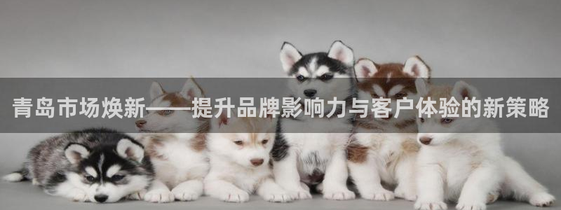 必赢平台官方客服电话