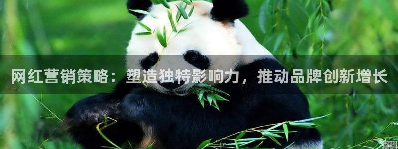 必赢72886是黑网站么