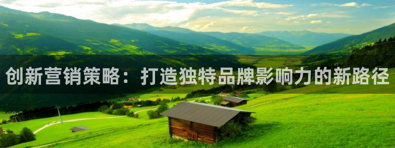 必赢网站网址是多少：创新营销策