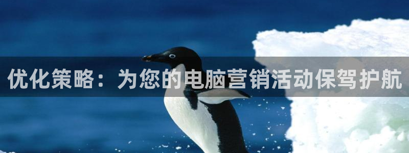 必赢国际游戏登录：优化策略：为