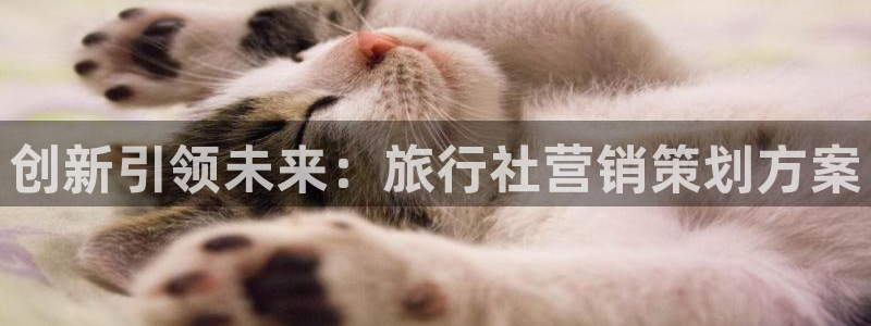 必赢科技北京有限公司