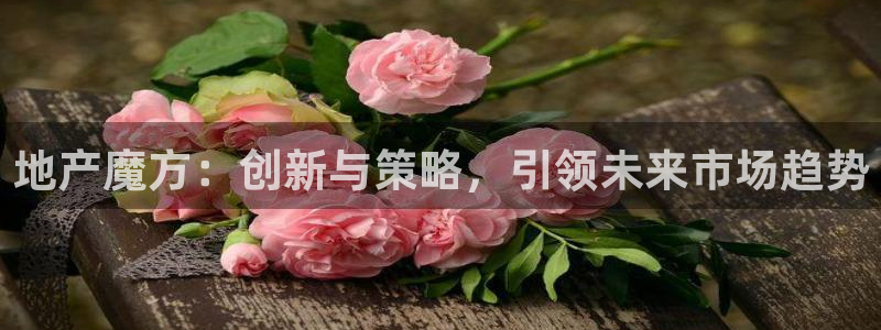 必赢app是干什么的
