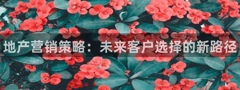 必赢net.95
