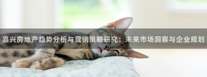 必赢手机app下载官网