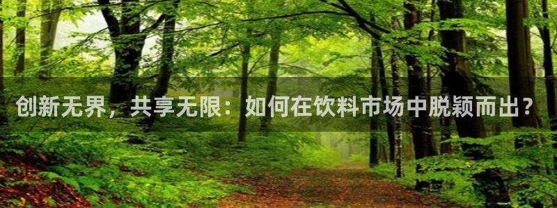 必赢网怎么打不开了：创新无界，