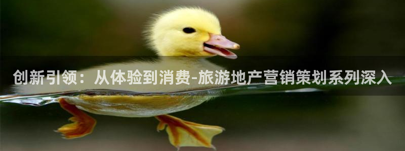 必赢app能挣钱吗安全吗