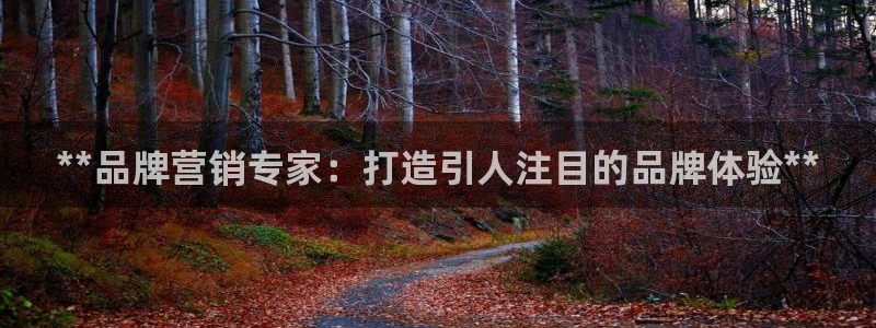 必赢网站打不开：**品牌营销专