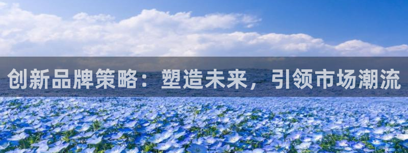 必赢网址 登录：创新品牌策略：