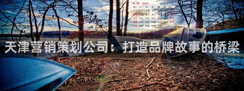 必赢国际437怎么样：天津营销