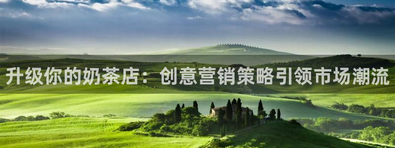 必赢网址：升级你的奶茶店：创意