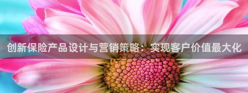 必赢官网下载安装app：创新保