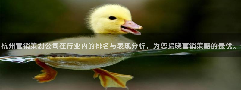 必赢网址谁知道是真的：杭州营销