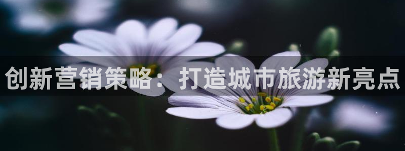 必赢这个平台怎么样啊