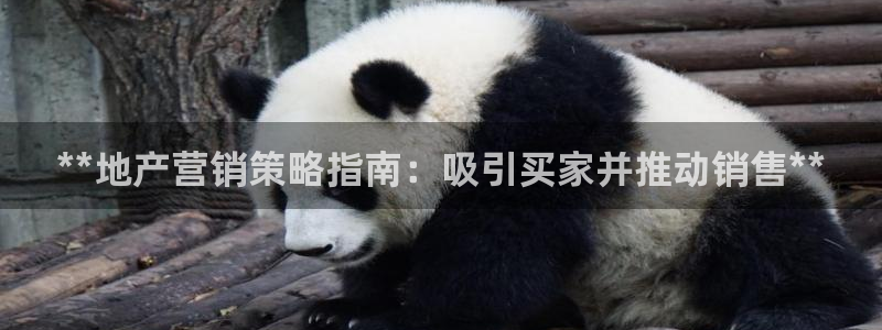 必赢3003注册3003登录