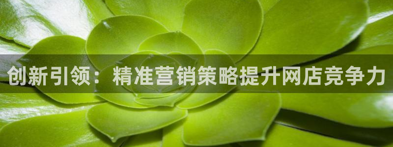 必赢官网网址多少号登录