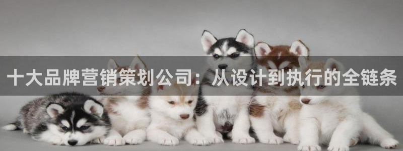 必赢3003注册3003登录