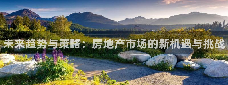 必赢国际网站合法吗