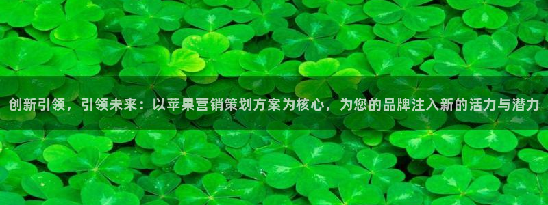 必赢科技有限公司：创新引领，引